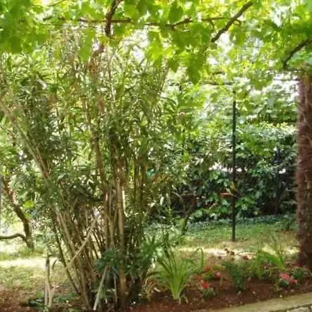 Apartment In - Insel Krk 47349 Njivice